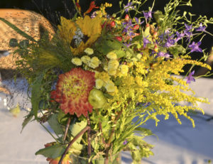 IWM-Aktuell 19-300x231 19  