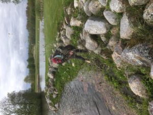 IWM-Aktuell Desiree-300x225 Desiree  